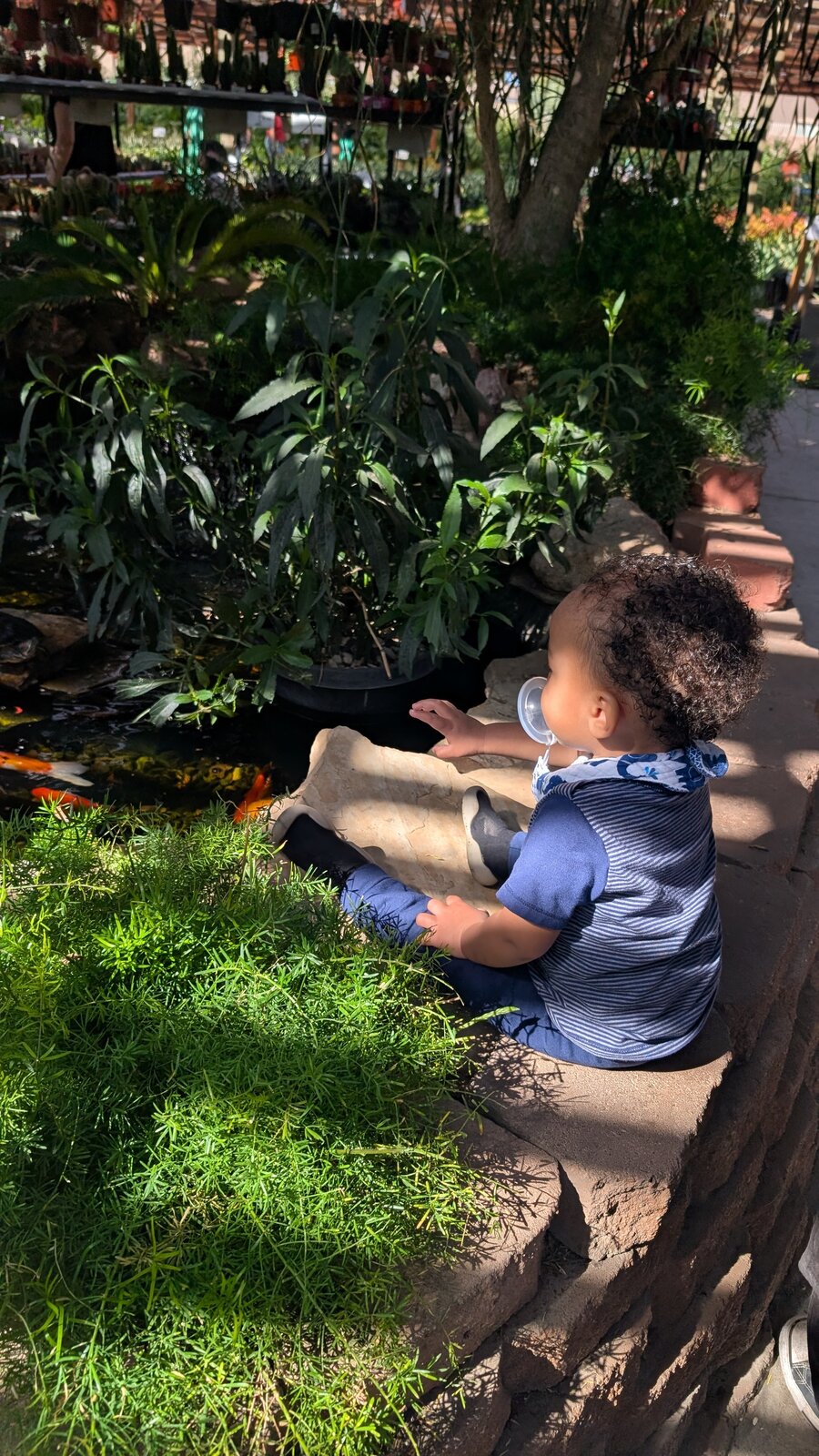 Hangin' at the Turtle Pond