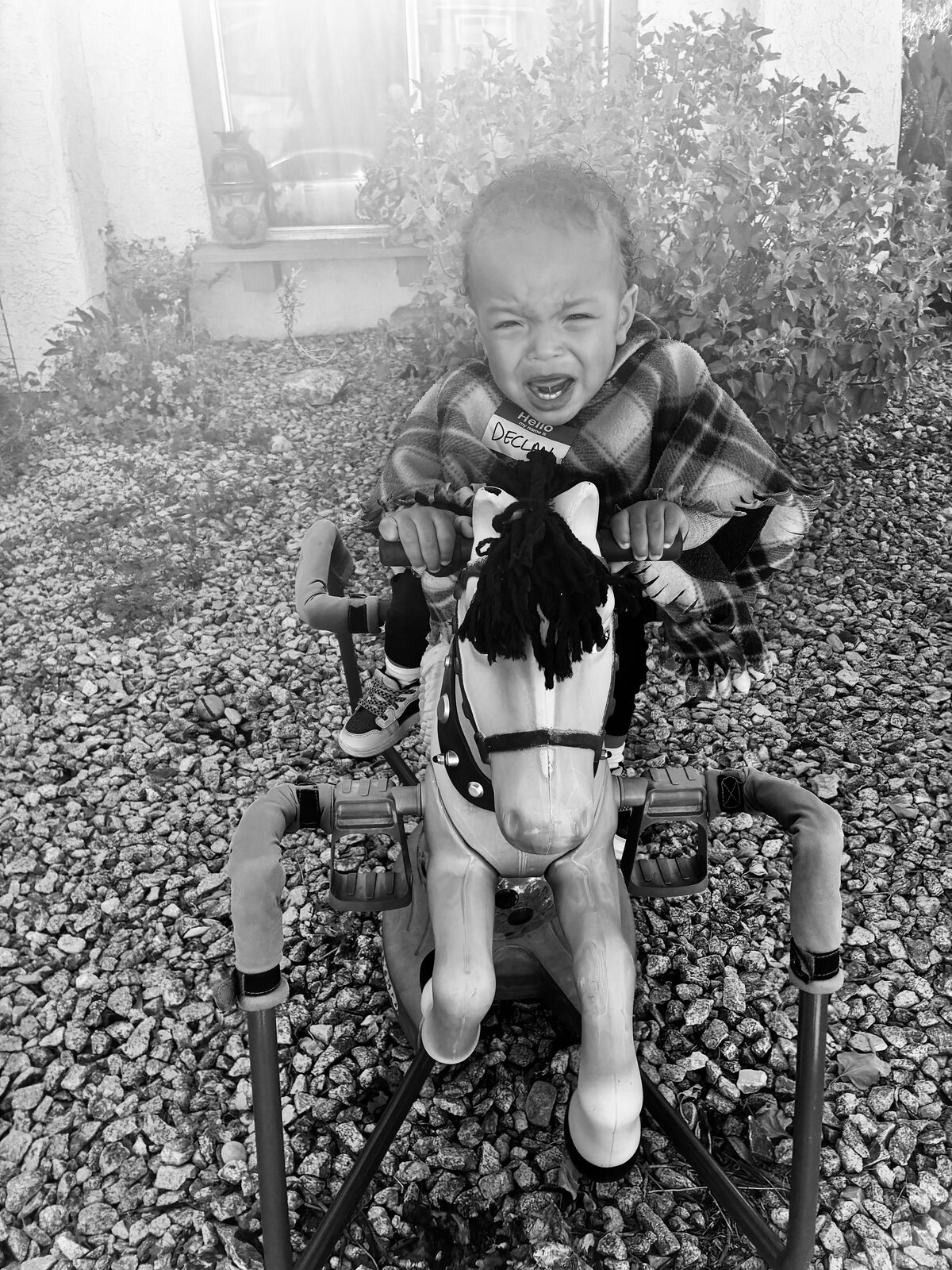 Rocking Horse Sadness 😂